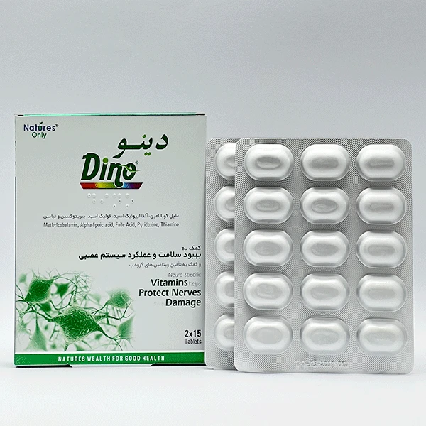 5241 قرص دینو نیچرز اونلی